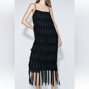 NWT Zara Sequin Beaded Fringe Dress